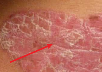 ֣����ţƤѢר��