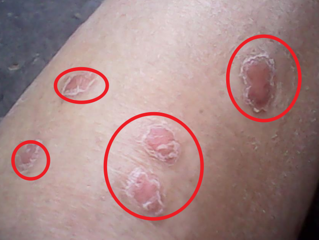 ֣����ţƤѢר��